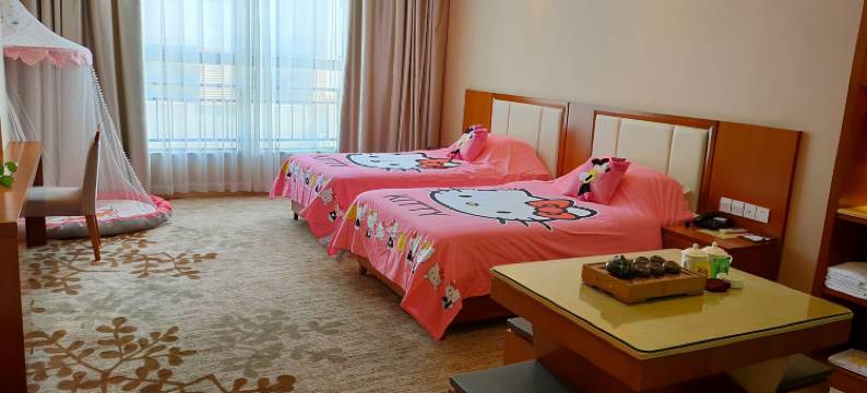 武平客都汇假日酒店图片