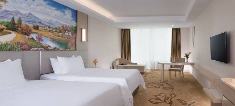 维也纳酒店(惠州高铁北站小金口店)图片