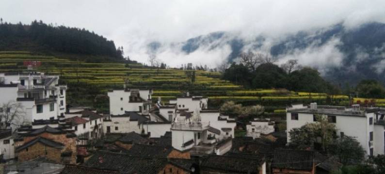 婺源江岭风光客栈图片