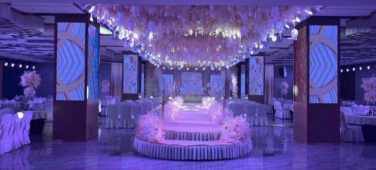 沈丘康馨国际酒店图片