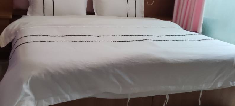 全季创意民宿(武汉光谷广场地铁站店)图片