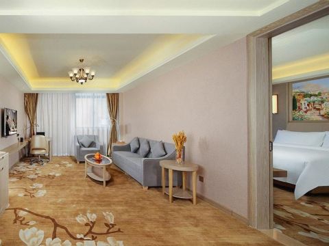 Vienna International Hotel (Meizhou Pingyuan Branch) Over view