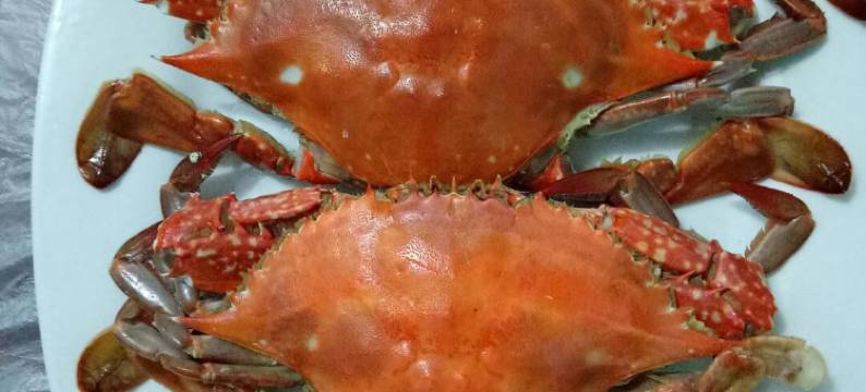 蓬莱海上人家渔家公寓图片