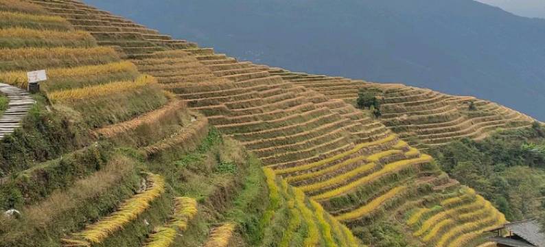 龙胜友谊间驿站图片