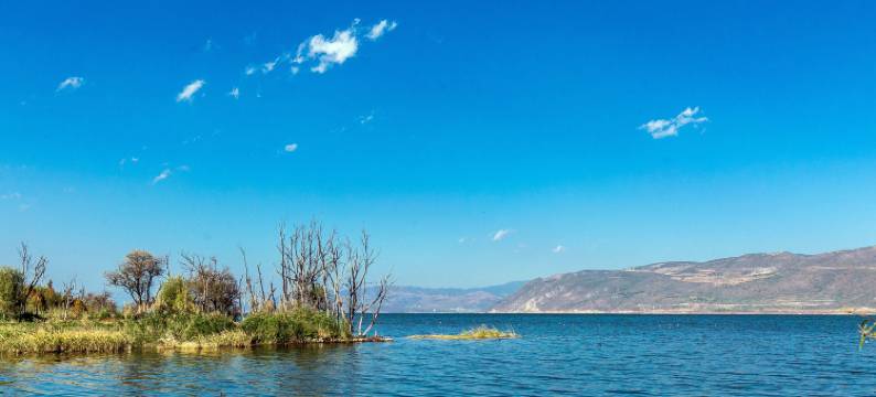大理古城生若夏花客栈图片