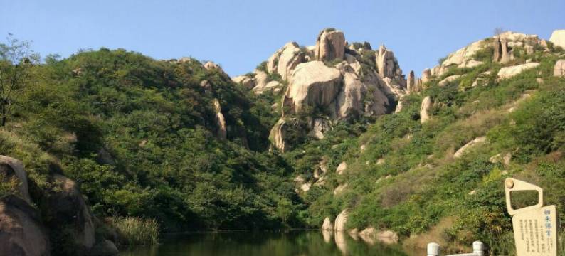 嵖岈山杨家野菜园宾馆图片