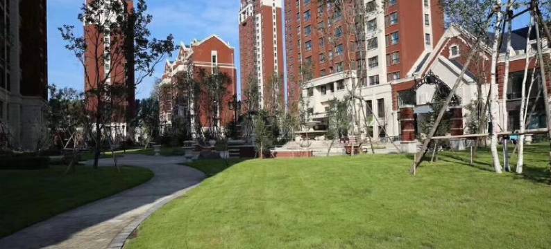 哈尔滨遇见智能民宿图片