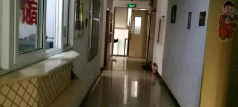 嘉兴万丽旅馆图片