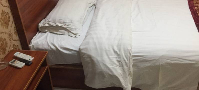 临泉洁圣宾馆图片