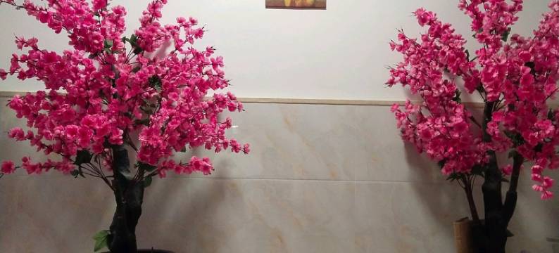 固始国民宾馆图片