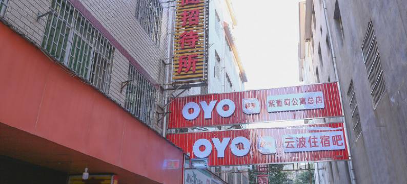 昆明紫葡萄公寓图片