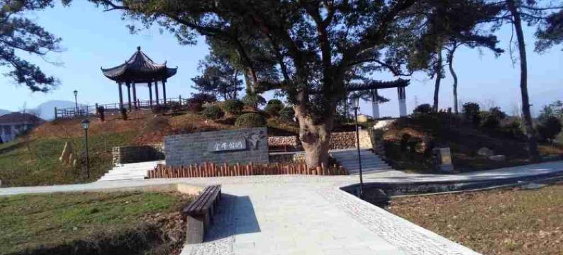 桐庐绿园农家民宿图片