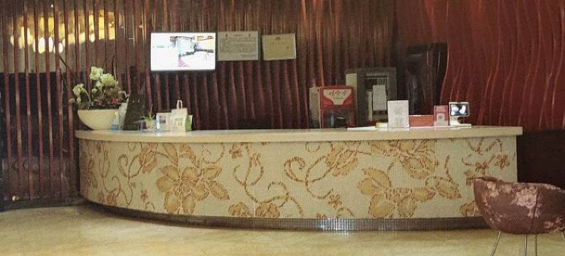 金城江区望江星美柠酒店图片