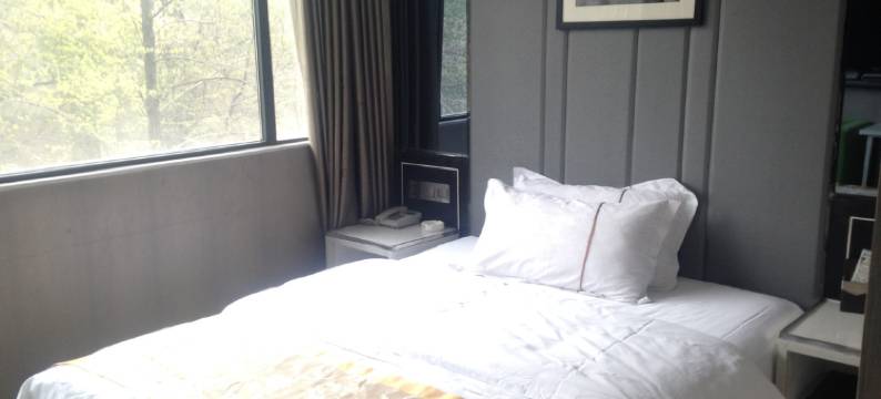 崇阳伊美国际酒店图片