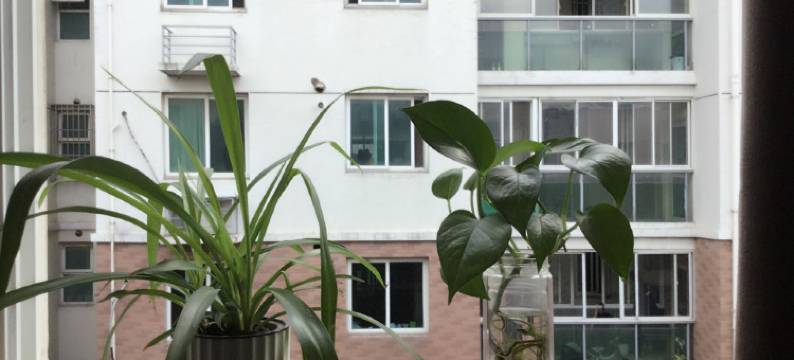 上海华庭宾馆(重固赵重公路店)图片