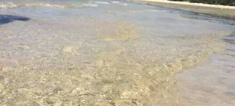 湛江清海岸民宿图片