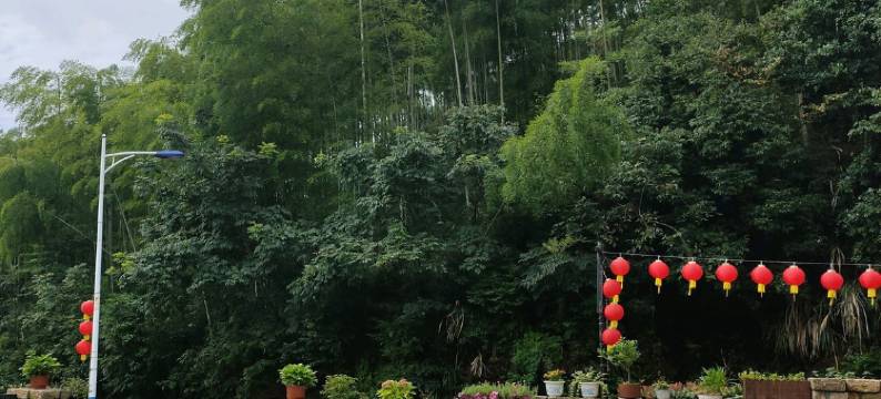 杭州惠芳农家乐图片