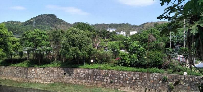 深圳大鹏南澳美一家海边民宿图片