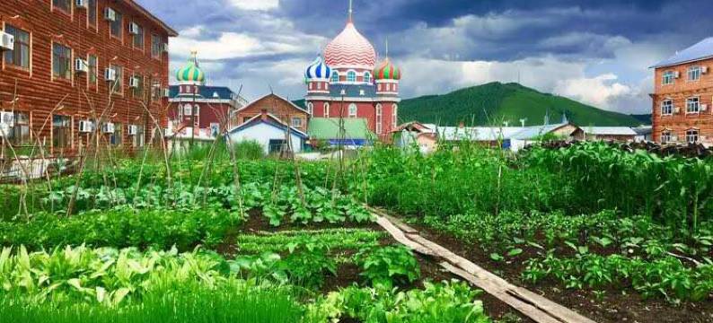 额尔古纳中俄临彼青年旅舍图片