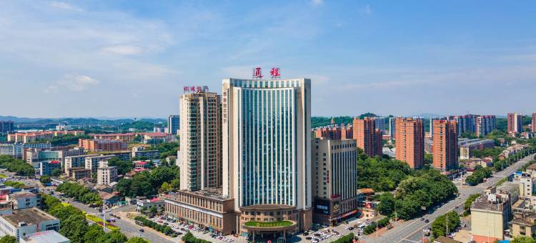 益阳通程国际大酒店图片