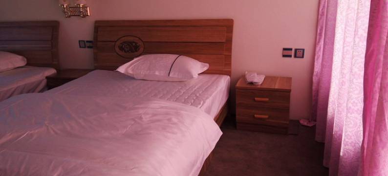 大理段家花海客栈图片