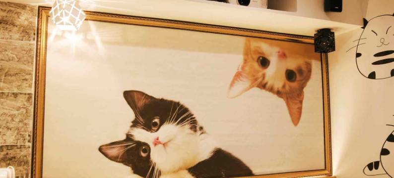 美美影院式艺术酒店(周家坝店)图片