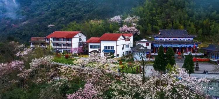 武功山中安酒店(中庵紫极宫店)图片
