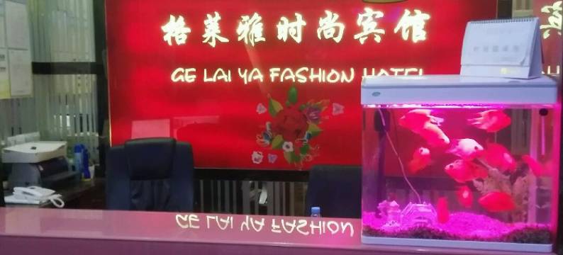 上海格莱雅宾馆(第九人民医院北院店)图片