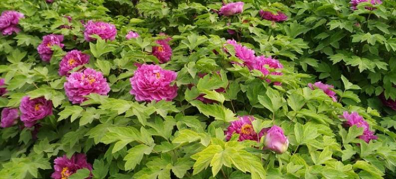 洛阳驿行天下旅馆(丽景门十字街店)图片