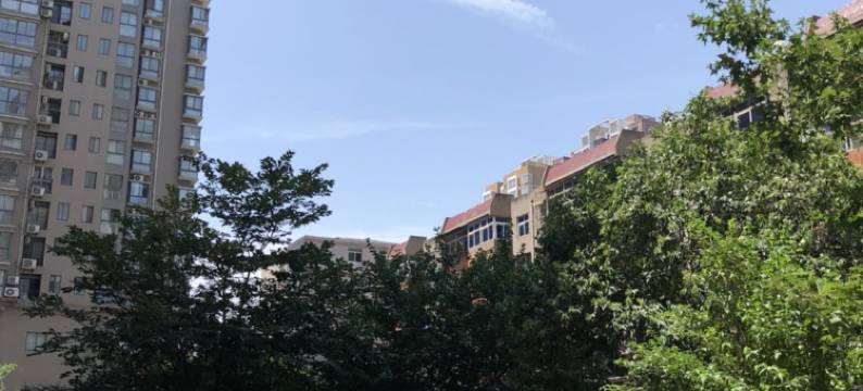 西安本素青年旅舍图片