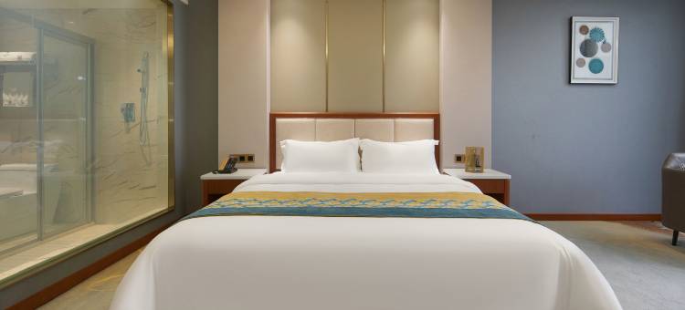 蜀汉王朝国际大酒店(剑阁剑门关高铁站店)图片