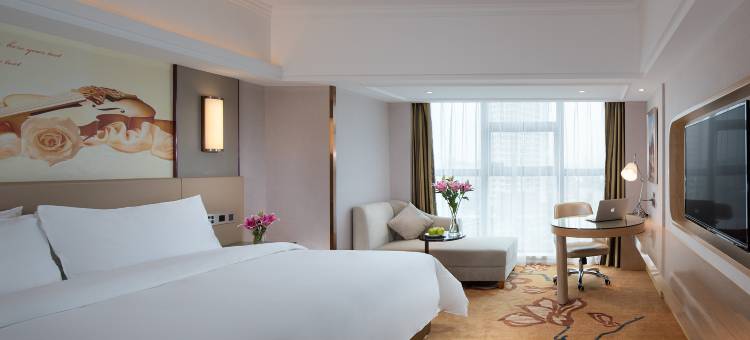 维也纳国际酒店(邵阳大汉步行街店)图片