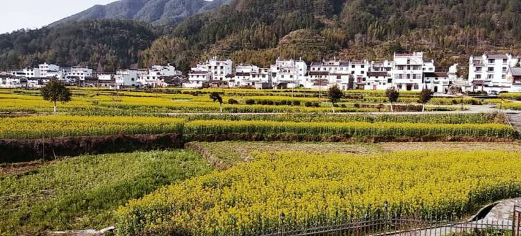 婺源江岭姗媛宾馆图片