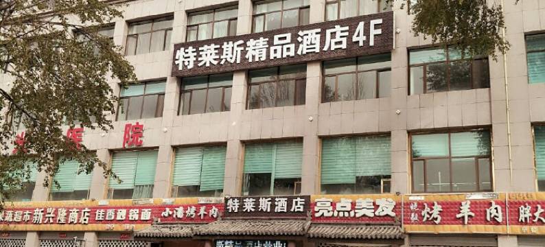 德令哈特莱斯精品酒店图片