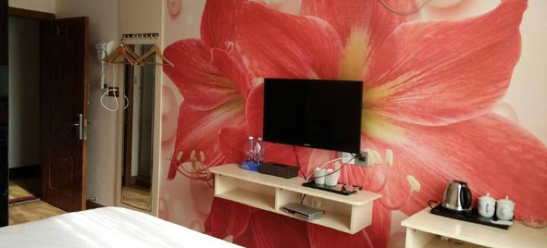 桂平金燕子主题酒店图片