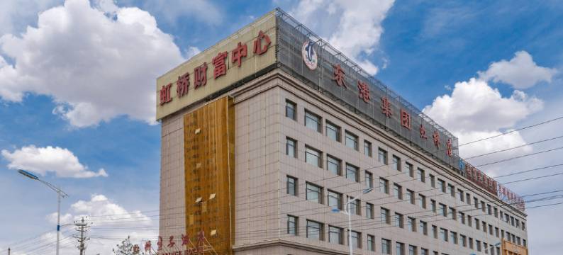 定边虹桥王子酒店图片