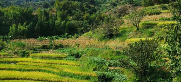 篁岭明亮·Life休闲度假美宿(篁岭景区店)图片