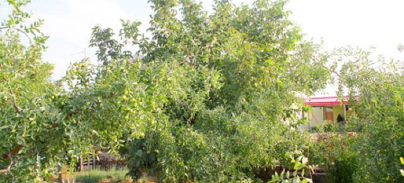 中卫园林客栈图片