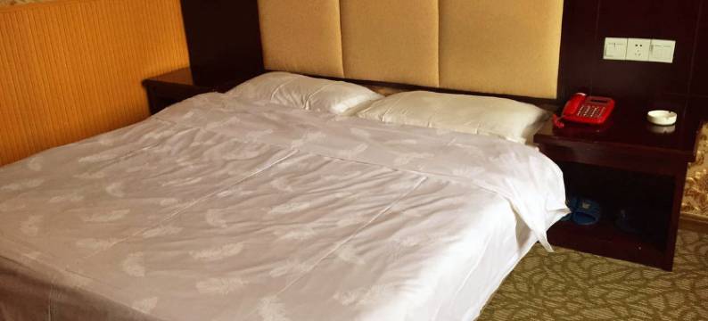 沅江紫气东来大酒店图片