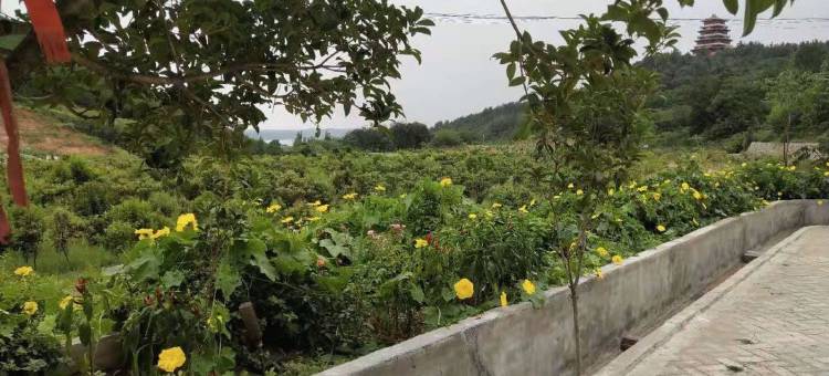 淅川怡景庄园图片