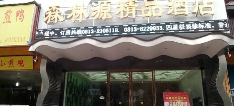自贡森林源精品酒店图片