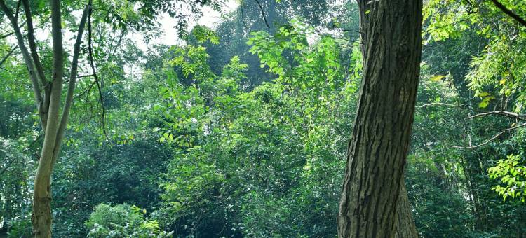 绵阳中洋仙泉酒店(罗浮山温泉旅游度假区店)图片
