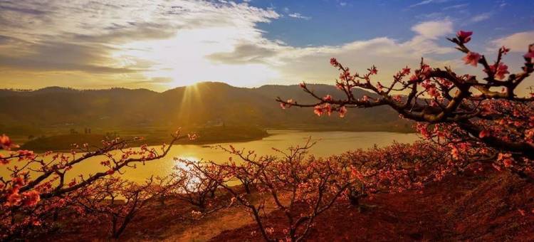 金华京艺精品酒店(菜鸟金华电商产业园店)图片