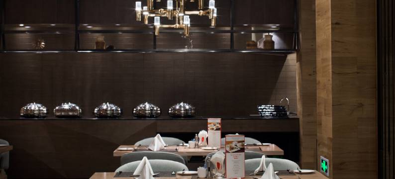 穗和瑞斯丽酒店(广州白云国际机场T3航站楼人和地铁站店)图片