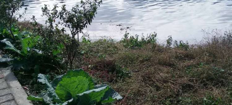 瓦屋山镇雅轩楼(雅女湖店)图片