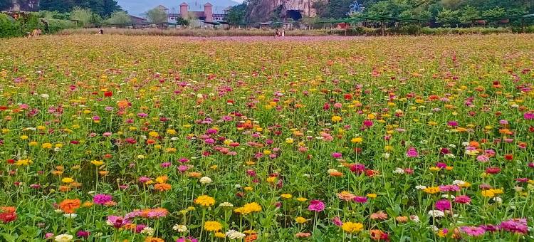 英德千寻民宿图片