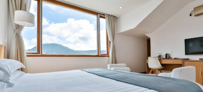 腾冲和顺良屋民宿图片