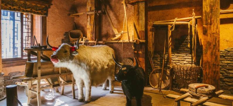 羌逸民宿(茂县坪头羌寨店)图片