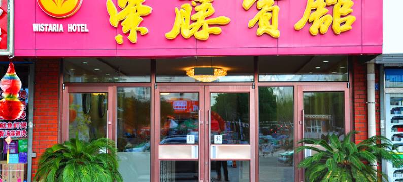 松山区紫藤宾馆图片