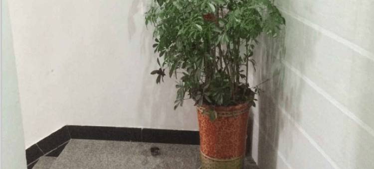 长兴宣杭旅馆图片